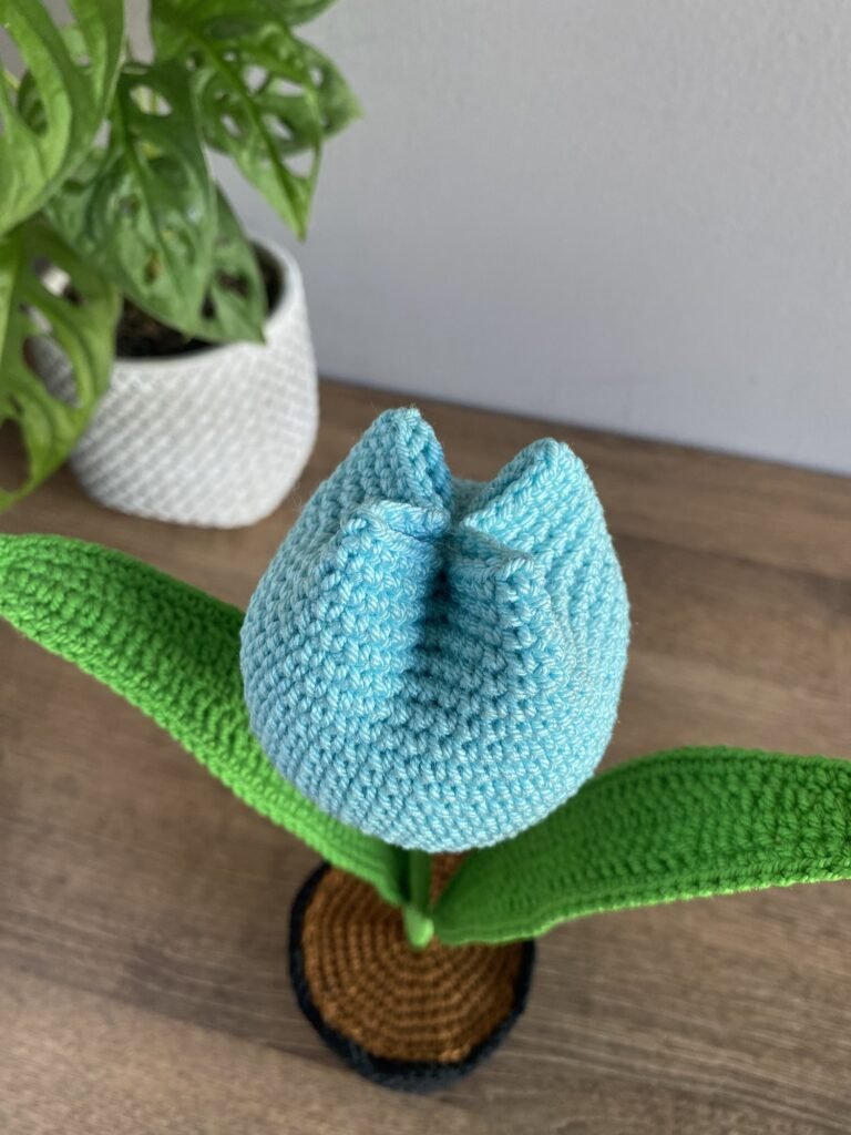 Tulipán azul