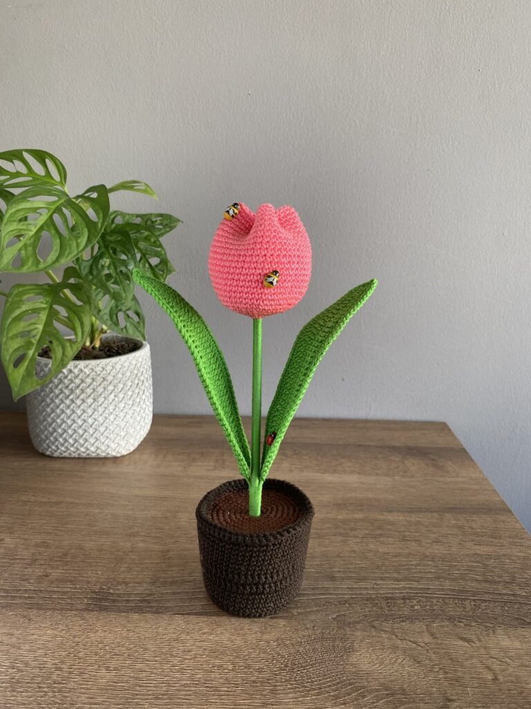 Tulipán rosa